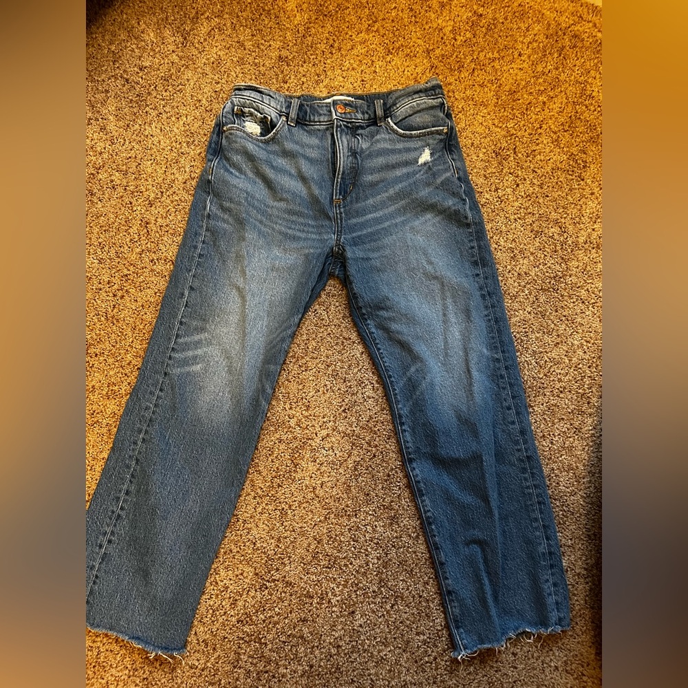 LOFT Women’s Straight Women's Jeans